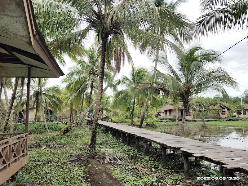 Foto dan Aktivitas Sekolah SD di Asmat