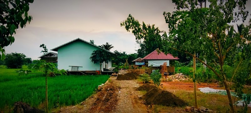 Foto dan Aktivitas Sekolah SD di Balangan