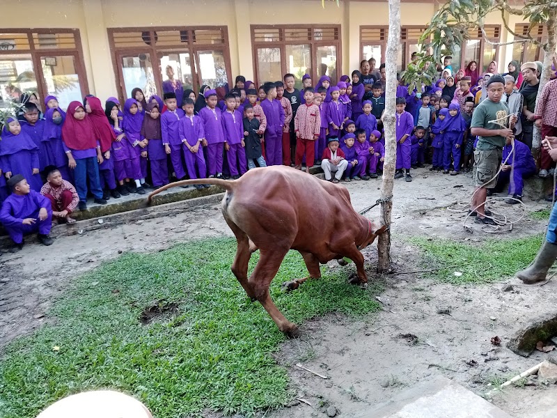 Foto dan Aktivitas Sekolah SD di Bangka Selatan