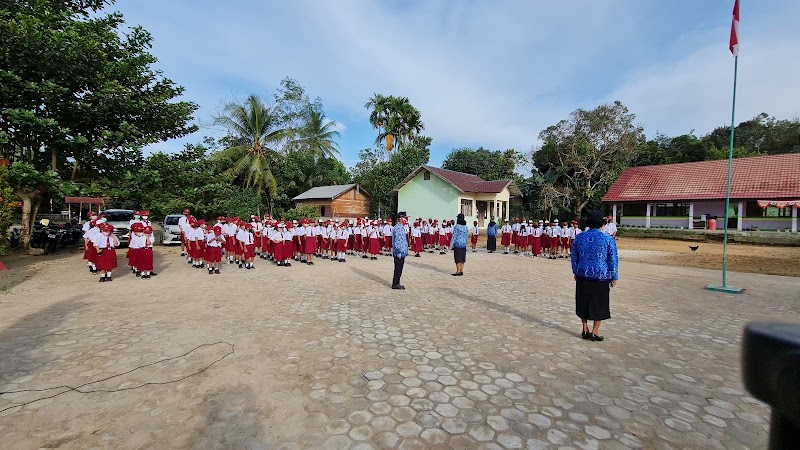 Foto dan Aktivitas Sekolah SD di Barito Timur