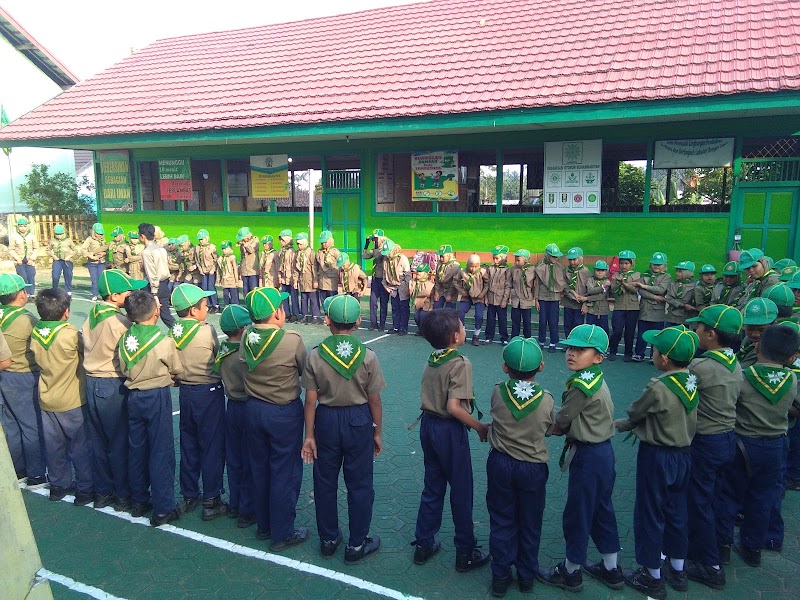 Foto dan Aktivitas Sekolah SD di Barito Utara