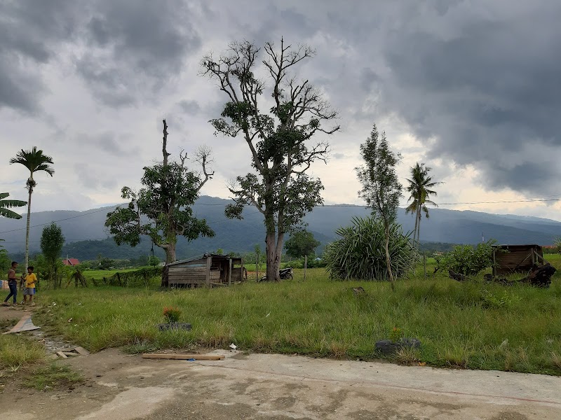 Foto dan Aktivitas Sekolah SD di Bombana