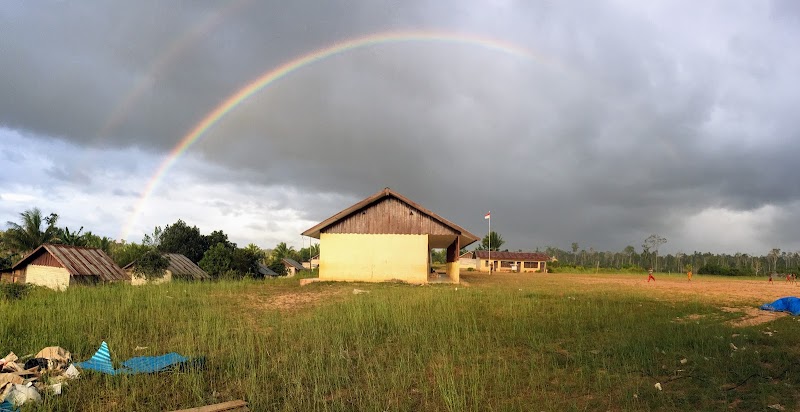 Foto dan Aktivitas Sekolah SD di Boven Digoel