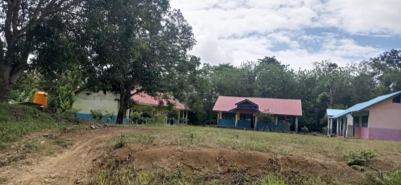 Foto dan Aktivitas Sekolah SD di Buton Selatan