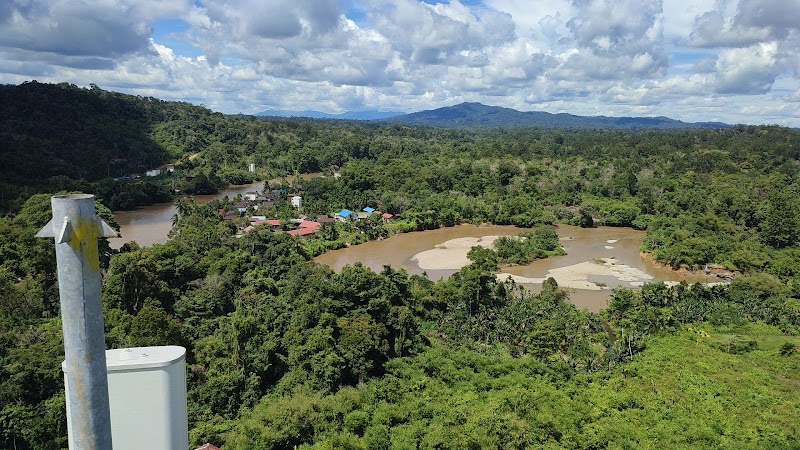 Foto dan Aktivitas Sekolah SD di Gunung Mas