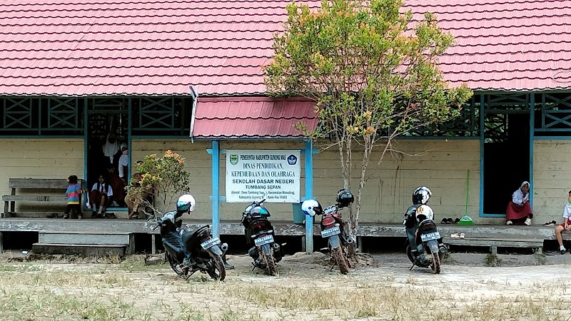 Foto dan Aktivitas Sekolah SD di Gunung Mas