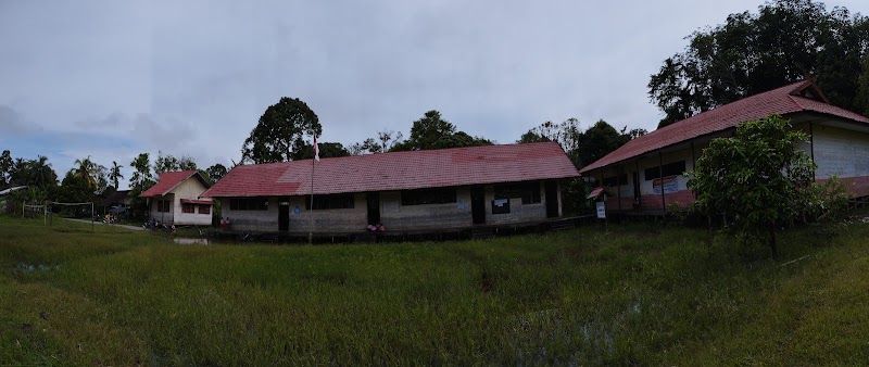 Foto dan Aktivitas Sekolah SD di Katingan