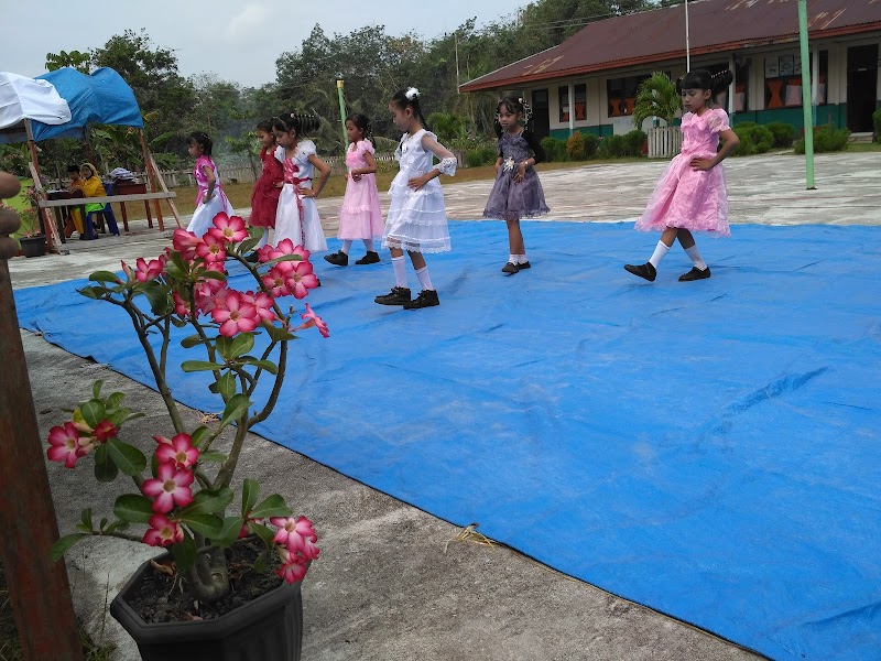 Foto dan Aktivitas Sekolah SD di Kepulauan Meranti