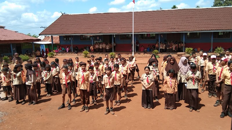 Foto dan Aktivitas Sekolah SD di Kotawaringin Timur