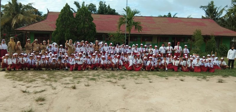 Foto dan Aktivitas Sekolah SD di Lamandau