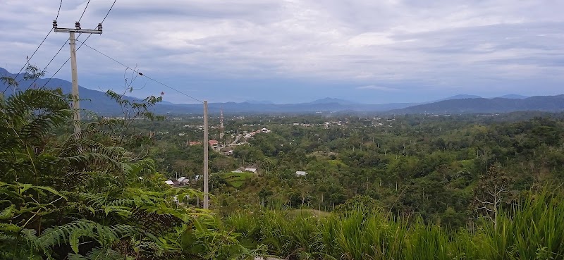 Foto dan Aktivitas Sekolah SD di Lampung Barat