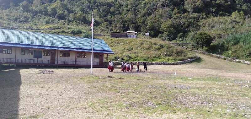 Foto dan Aktivitas Sekolah SD di Lanny Jaya