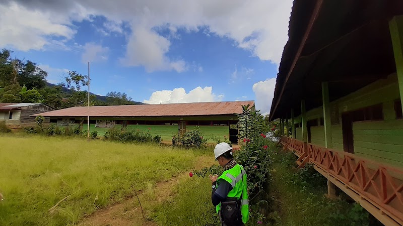 Foto dan Aktivitas Sekolah SD di Luwu Utara