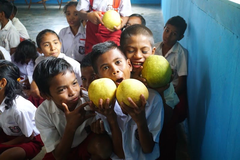 Foto dan Aktivitas Sekolah SD di Maluku Barat Daya