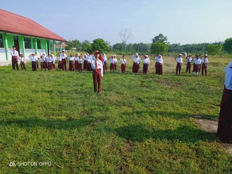 Foto dan Aktivitas Sekolah SD di Mesuji