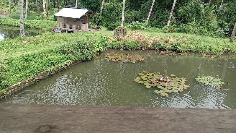 Foto dan Aktivitas Sekolah SD di Minahasa Tenggara