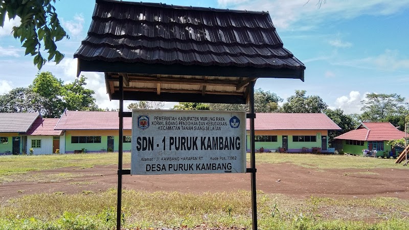 Foto dan Aktivitas Sekolah SD di Murung Raya