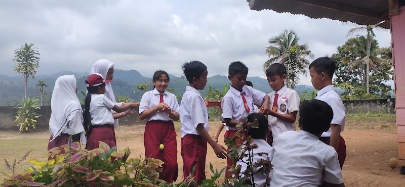 Foto dan Aktivitas Sekolah SD di Ogan Komering Ulu Selatan