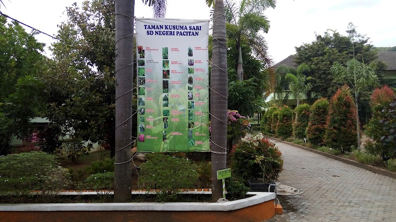 Foto dan Aktivitas Sekolah SD di Pacitan