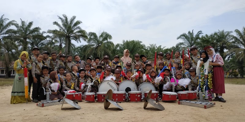 Foto dan Aktivitas Sekolah SD di Padang Lawas