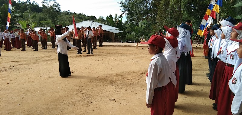 Foto dan Aktivitas Sekolah SD di Padang Lawas utara