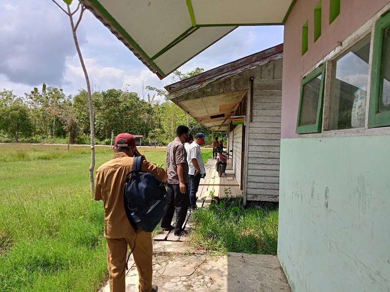 Foto dan Aktivitas Sekolah SD di Paser