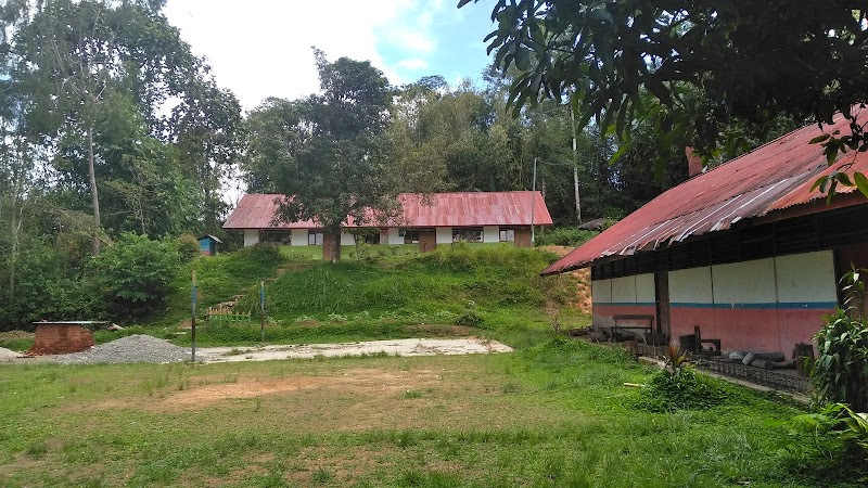 Foto dan Aktivitas Sekolah SD di Tana Toraja