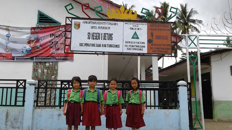 Foto dan Aktivitas Sekolah SD di Tanggamus