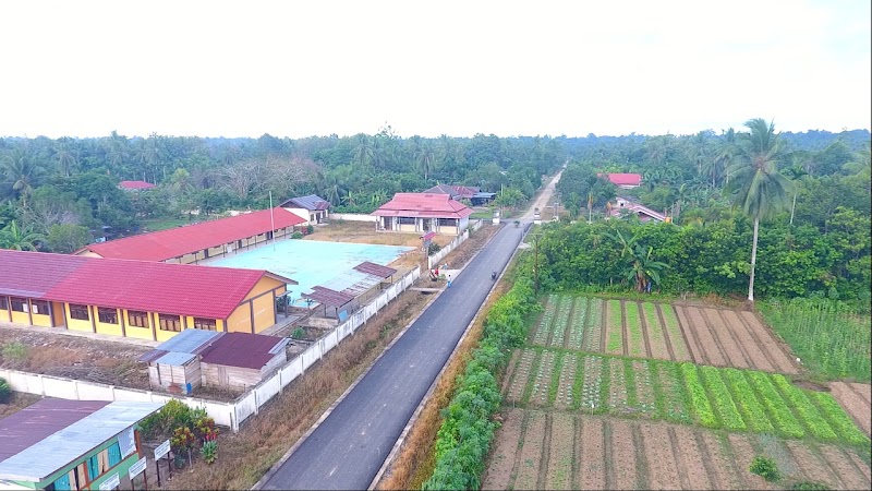 Foto dan Aktivitas Sekolah SD di Teluk Bintuni