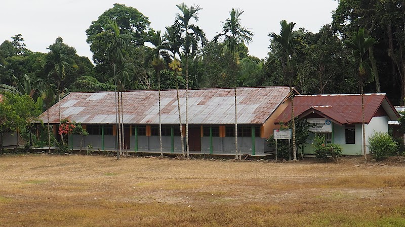 Foto dan Aktivitas Sekolah SD di Teluk Wondama