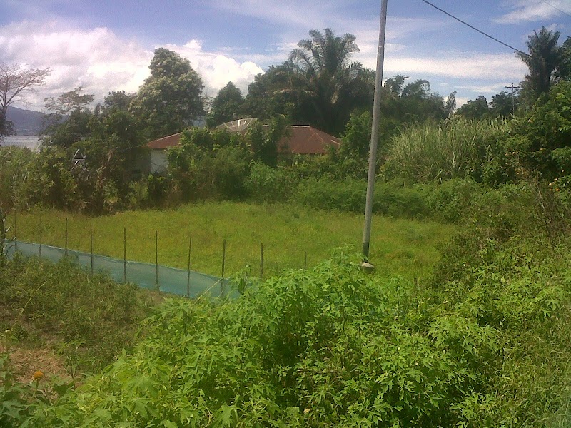 Foto dan Aktivitas Sekolah SD di Toba