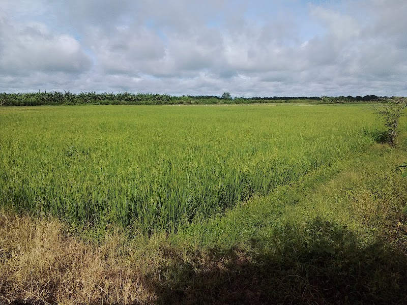 Foto SMA di Kab. Merauke