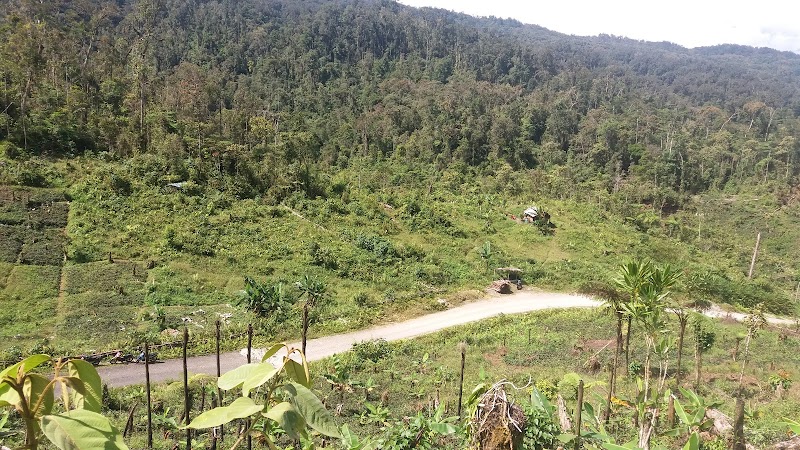 Foto SMA di Kab. Pegunungan Bintang