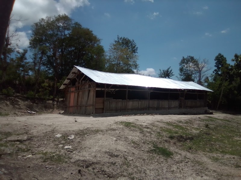 Foto SMA di Kab. Timor Tengah Selatan