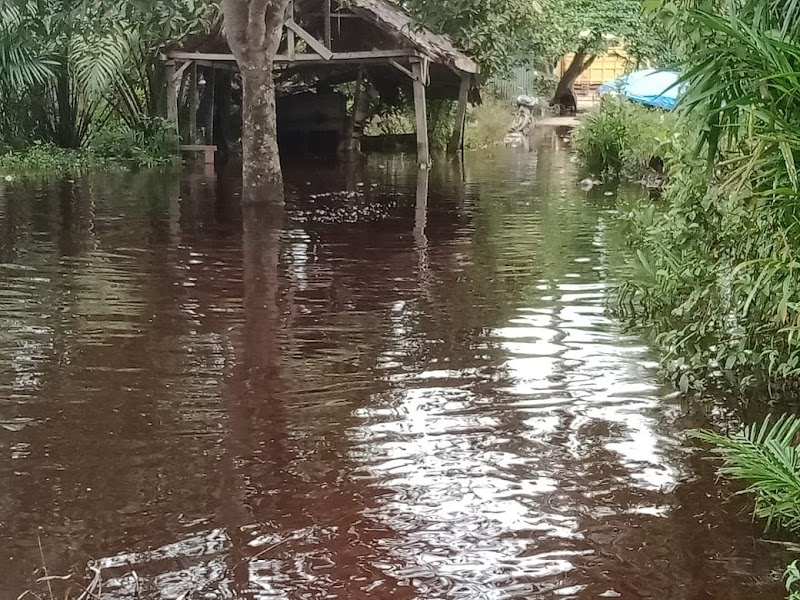 Foto SMP di Kab. Indragiri Hilir