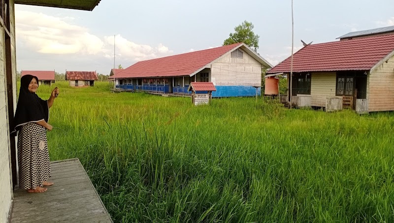 Foto SMP di Kab. Katingan